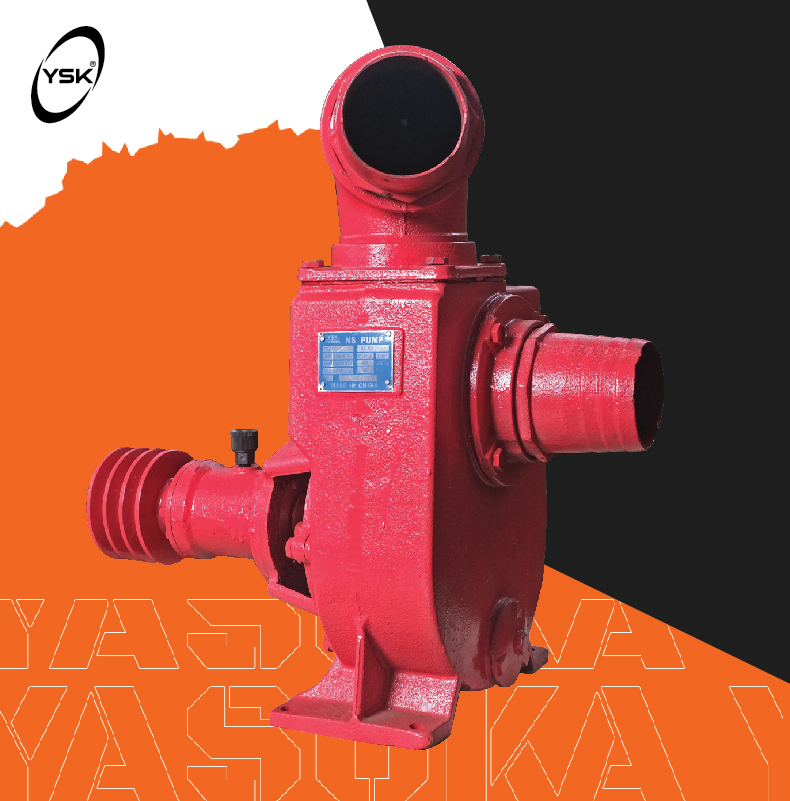 NS 100 YASUKA-02