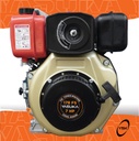 DIESEL ENGINE